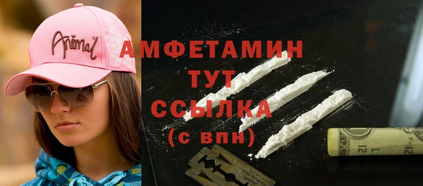 крисы Слюдянка
