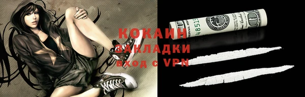 молекула духа Снежинск