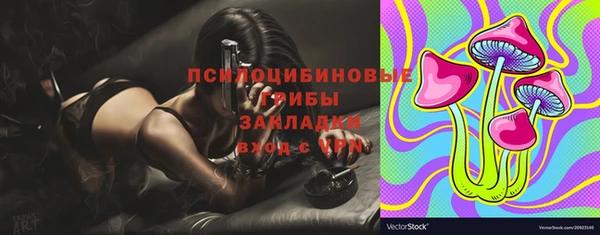 крисы Слюдянка