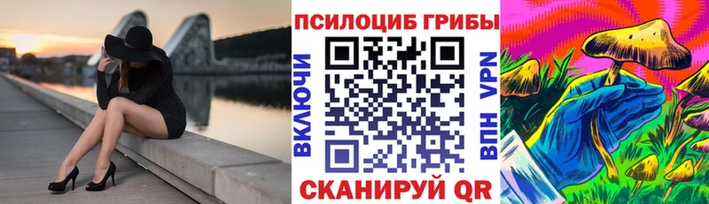 где найти   Урень  Галлюциногенные грибы Psilocybine cubensis 